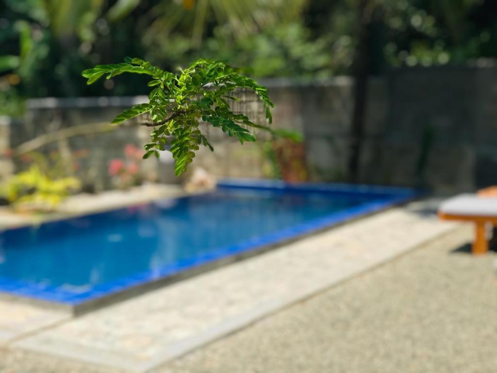 Peaceful Green Villa Унаватуна Екстер'єр фото